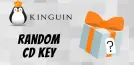 Kinguin Random Key
