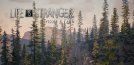 Life Is Strange 2 - Episode 4: "Faith"