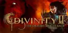 Divinity 2 - The Dragon Knight Saga