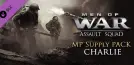 Men of War: Assault Squad - MP Supply Pack Charlie