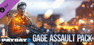 PAYDAY 2: Gage Assault Pack