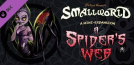 Small World - A Spider's Web