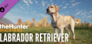 theHunter: Call of the Wild - Labrador Retriever