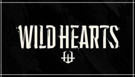 De post-launch inhoud van Wild Hearts zal gratis zijn