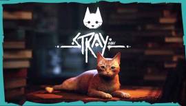 Is Stray better placed than Elden Ring for the Game of the Year award?