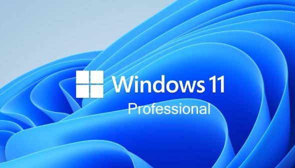 Microsoft Windows 11 Professionnel