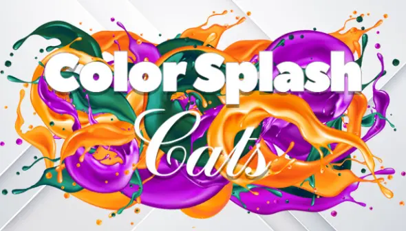 Color Splash: Cats