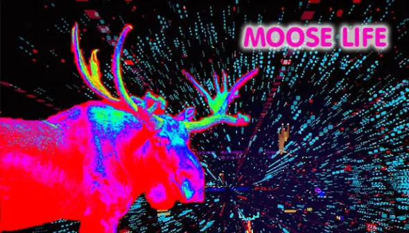 Moose Life
