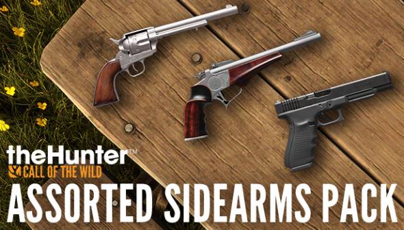 theHunter: Call of the Wild - Assorted Sidearms Pack