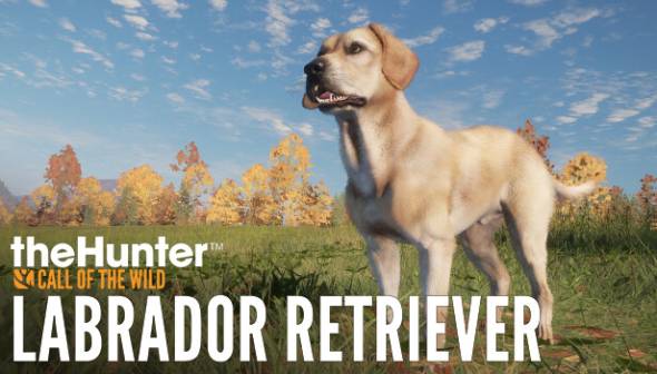 theHunter: Call of the Wild - Labrador Retriever