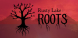 Rusty Lake: Roots