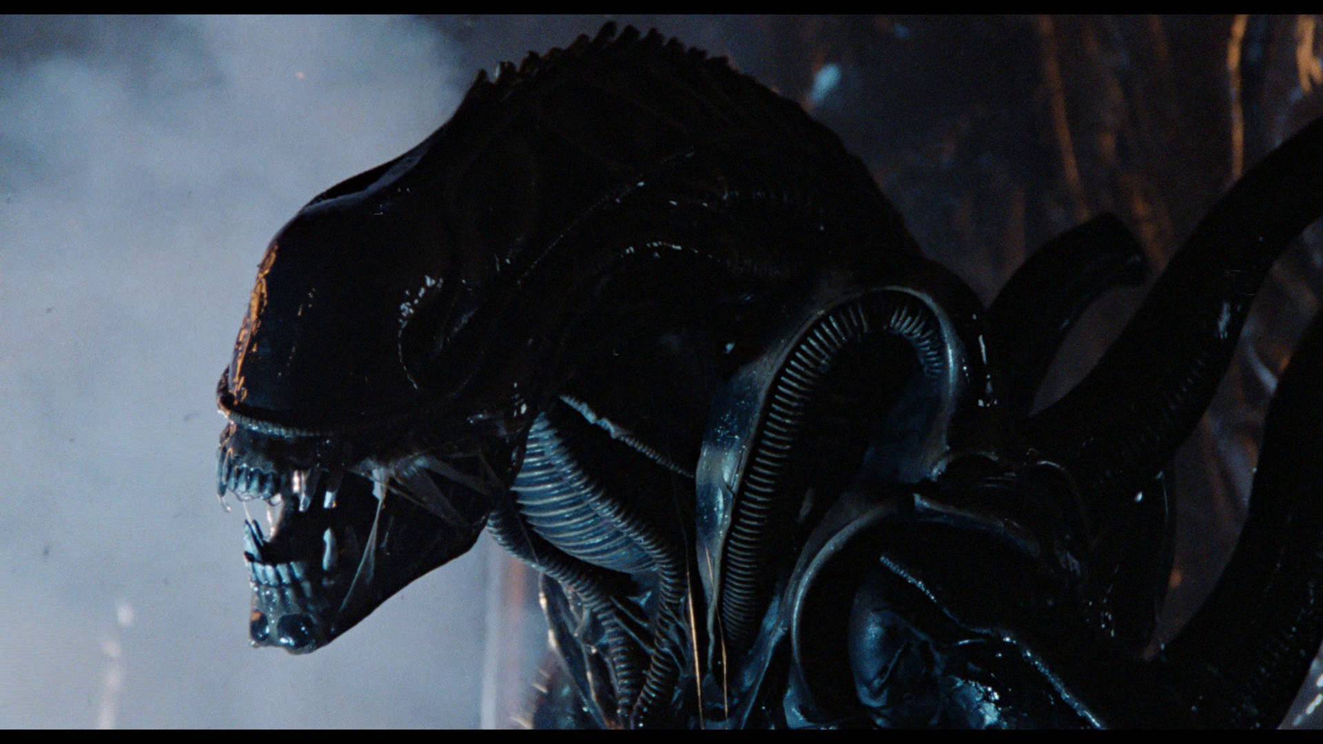 Le jeu annulé Alien aurait été plus terrifiant que Mass Effect