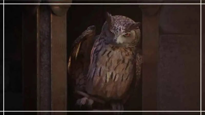 Ya está aquí el tráiler cinematográfico oficial de Hogwarts Legacy